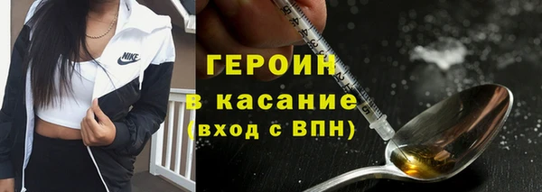 индика Алексин
