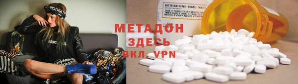 индика Алексин