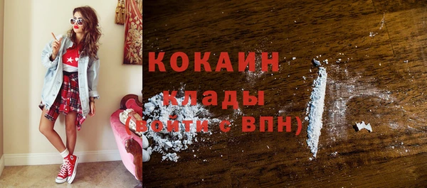 индика Алексин